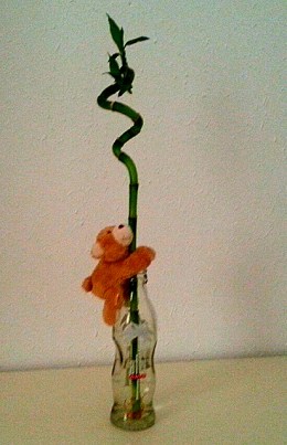 10593045_10203492038875400_6182092300771578499_n