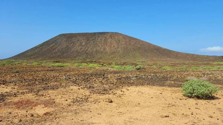 10259748_10207131863708746_7070940667528173517_n