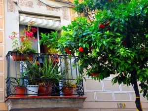 Balcones Poblenou